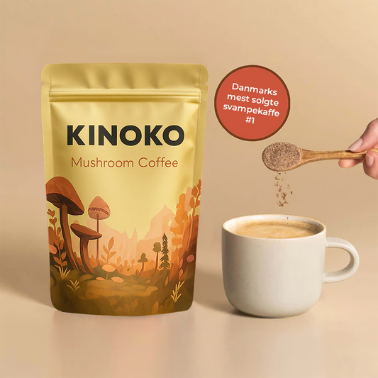 Kinoko Svampekaffe