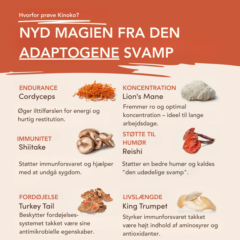 Svampekaffe