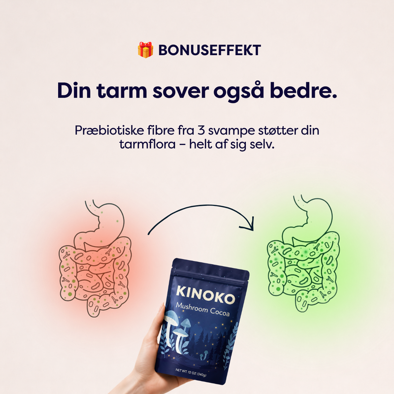 Svampekakao