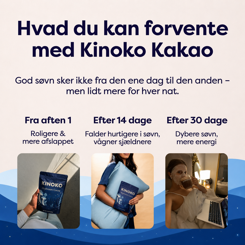 Svampekakao