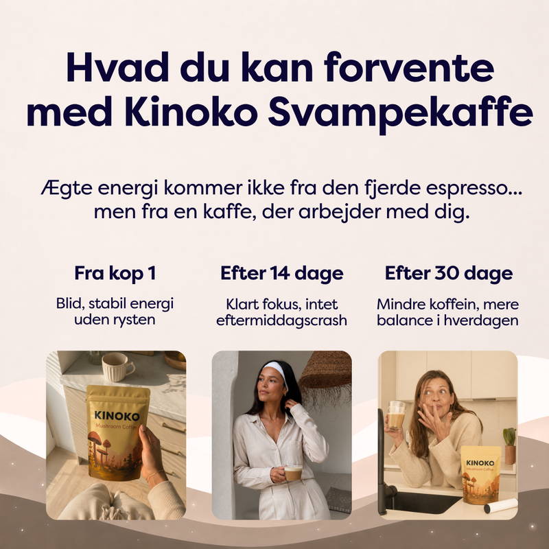 Svampekaffe