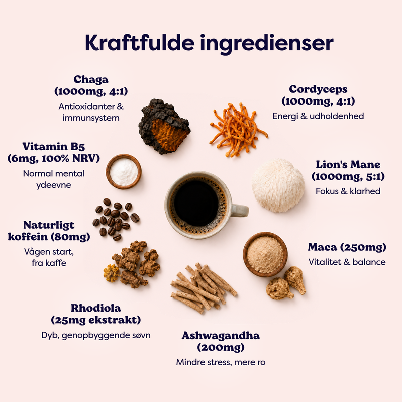 Svampekaffe